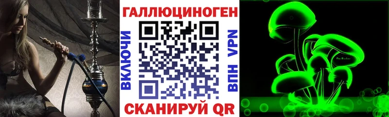 Галлюциногенные грибы Psilocybe Комсомольск-на-Амуре